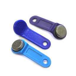 DS 1961S Электронный ключ с защитой от клонирования